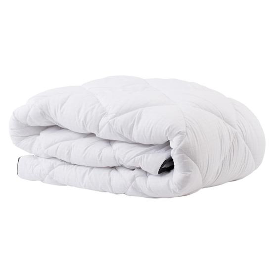 Domoletti BLANKET MICROFIBER/CARB 220X200 350GM2 (1ANTI00077)
