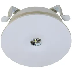 RP-Technik Sicherheitsleuchte ILEL421WL