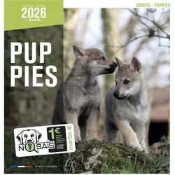 Martin Sellier, Kalender, Chiots