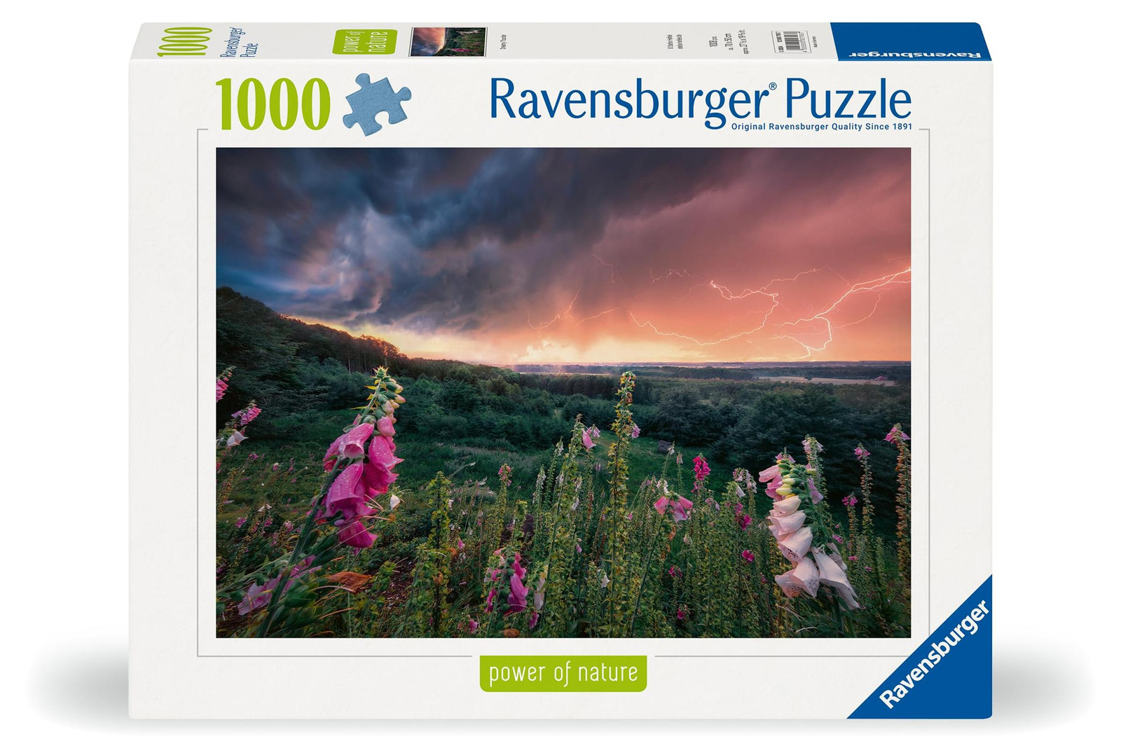 Een storm nadert Ravensburg Ravensburger spel