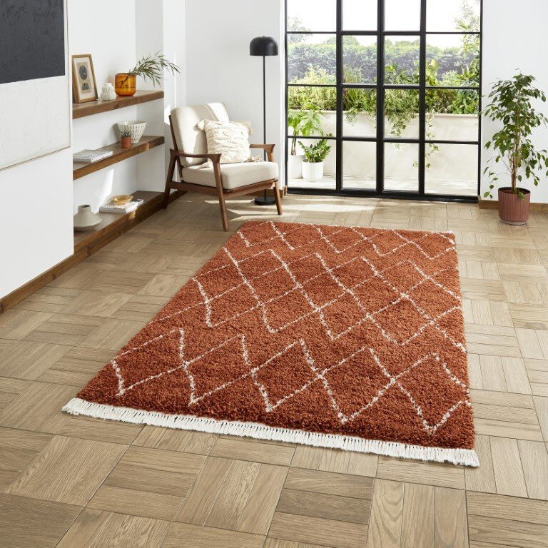 Natur Pur Archuleta area rug Machine Woven Rust Rust Runner 60 x 230cm