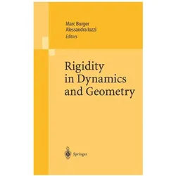Rigidity in Dynamics and Geometry, Fachbücher von Marc Burger, Alessandra Iozzi