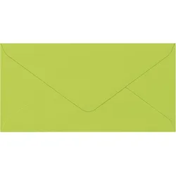 Baier & Schneider, Briefumschlag, Briefumschlag (110 x 220 mm, 50x)