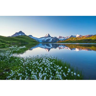 Fototapete PAPERMOON "LANDSCHAFT-GEBIRGE BERGE SEE ALPEN BLUMEN NATUR TAPETE", bunt, B:3,5m L:2,6m, Vlies, Tapeten