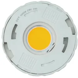 Rutec 21953 LED Austausch-Modul, 5000K, CRI95 Zubehör CYRA+