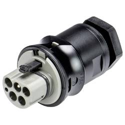 Wieland Electric 96.052.6054.3 Geräteanschluss