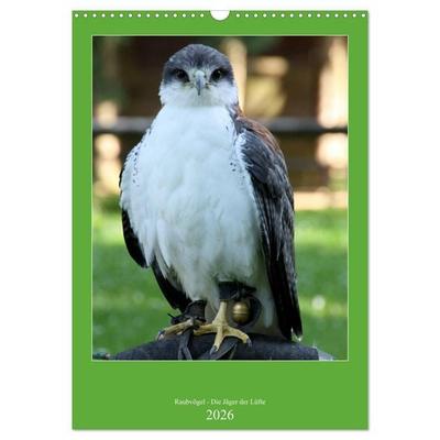 Raubvögel - Die Jäger der Lüfte (Wandkalender 2026 DIN A3 hoch), CALVENDO Monatskalender