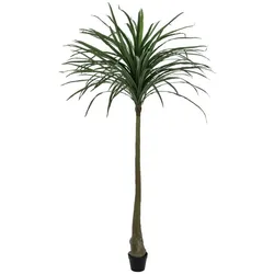 EUROPALMS Dracena, künstlich, grün, 220cm