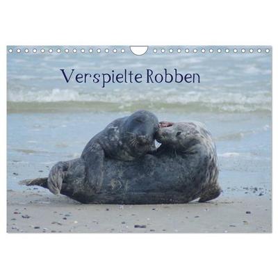 Verspielte Robben (Wandkalender 2027 DIN A4 quer), CALVENDO Monatskalender
