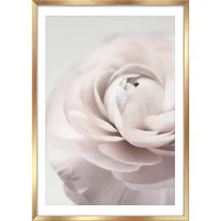 Bild Image ca. 50x70cm