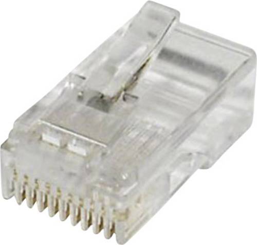Econ Connect MPL10/10R Modular-Stecker MPL10/10R Stecker, gerade Pole: 10 Klar