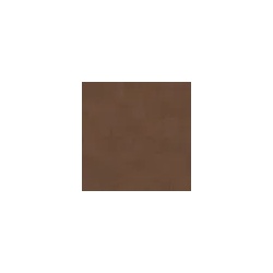 Corpet Treppenkante Farbe - espresso