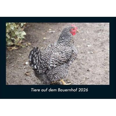 Tiere auf dem Bauernhof 2026 Fotokalender DIN A4