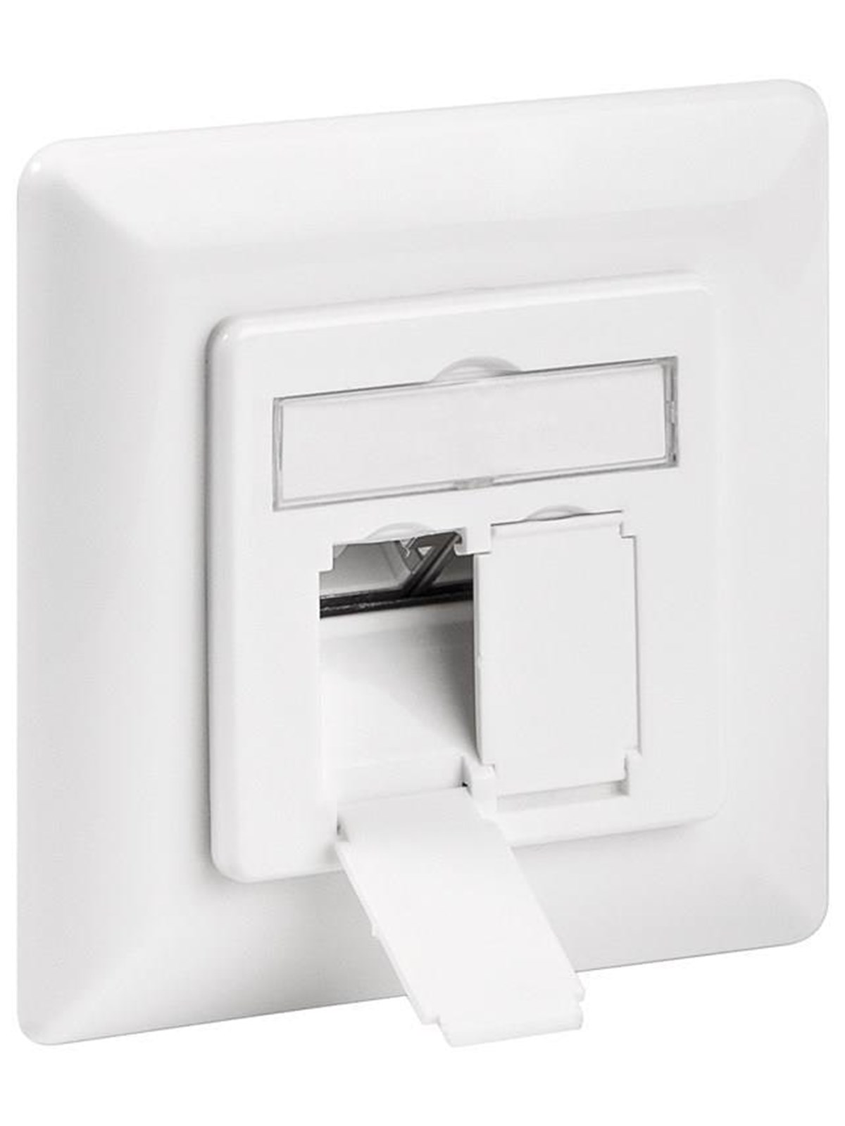 Pro CAT 6a wall plate flush mounting white - 2x RJ45 - Weiß
