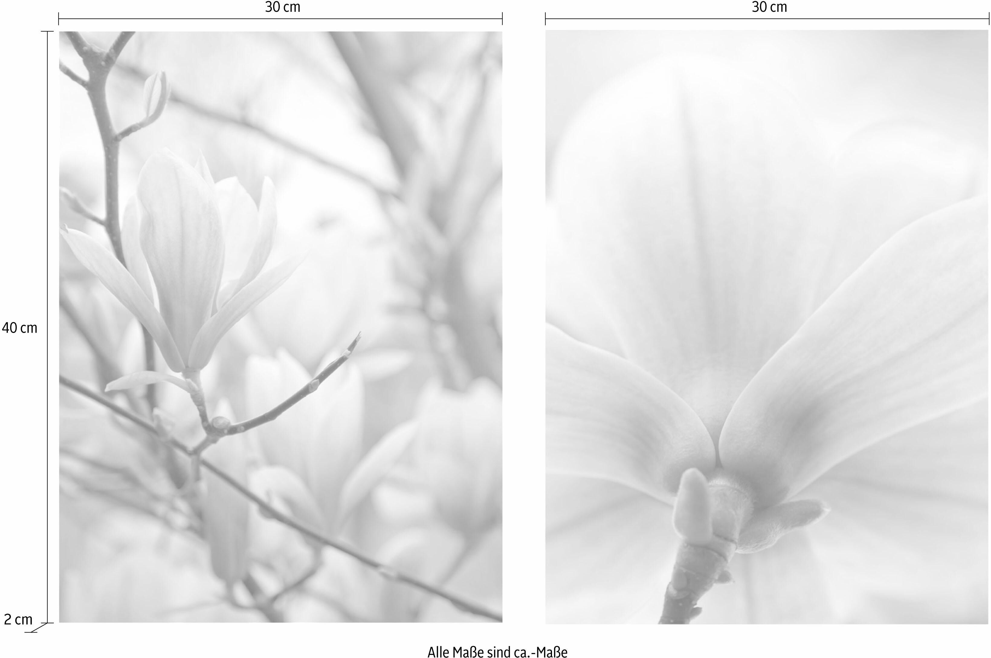 Bild CREATIV HOME "Magnolien", rosa (farbe bild(er): rosa), B:30cm H:40cm T:2cm, Leinen, Bilder, Bild, 2er Set