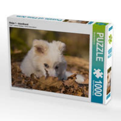 CALVENDO Puzzle Welpe 1 - Islandhund 1000 Teile Lege-Größe 64 x 48 cm Foto-Puzzle Bild von Monika Scheurer