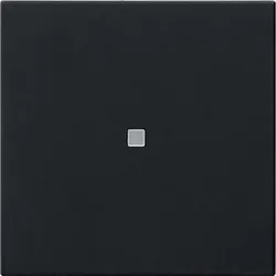 Gira Funk-Bedienaufsatz 5495005