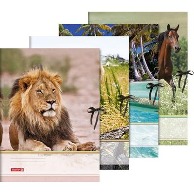 Brunnen Sammelmappe A3 Tiere Band