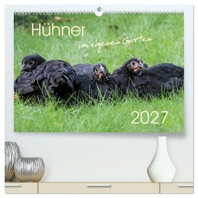 Hühner im eigenen Garten (hochwertiger Premium Wandkalender 2027 DIN A2 quer), Kunstdruck in Hochglanz