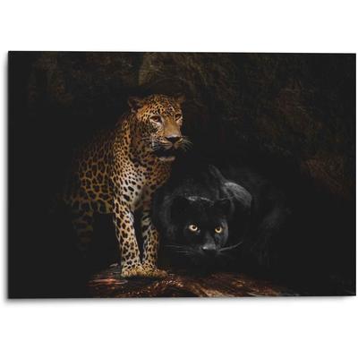 Wandbild REINDERS "Aluminium Wandbild Raubtiere Panther - Cougar - Katzen - Höhle", schwarz (farbe bild(er): schwarz), B:70cm H:50cm, Aluminium, Bilder