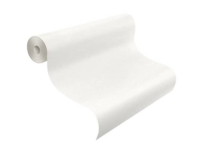 Rasch Tapete 165005 - Renoviervlies, Makulaturvlies, Makulaturtapete, Malervlies, Glattvlies in Weiß - 25m x 0,75m, 150g