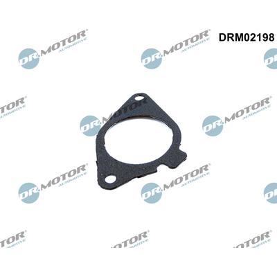 DR.MOTOR AUTOMOTIVE Dichtung, AGR-Ventil DRM02198 für BMW