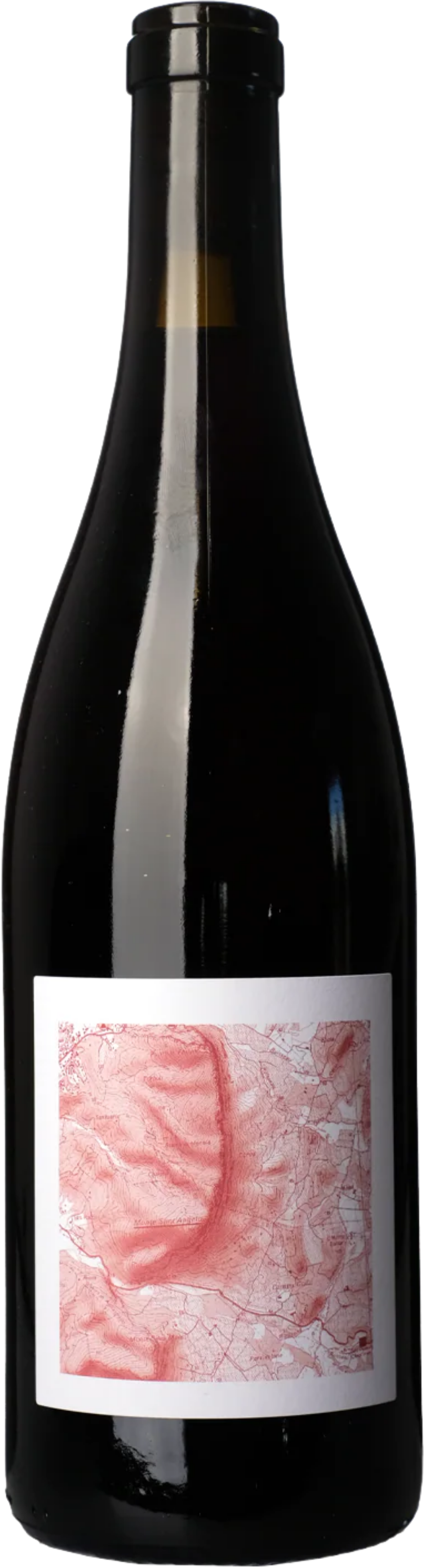 Patrimonio 'Cantina di Torra' Nicolas Mariotti Bindi 2024