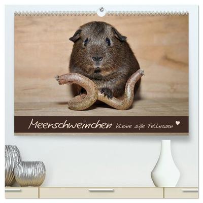 Meerschweinchen - Kleine süße Fellnasen (hochwertiger Premium Wandkalender 2027 DIN A2 quer), Kunstdruck in Hochglanz