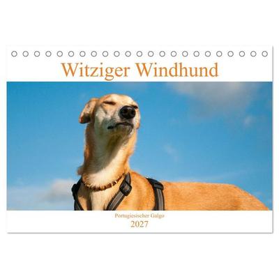 Witziger Windhund - Portugiesischer Galgo (Tischkalender 2027 DIN A5 quer), CALVENDO Monatskalender