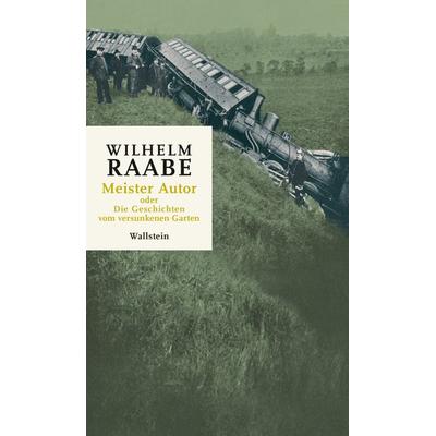 Meister Autor, Gebundene Ausgabe von Wilhelm Raabe, Wallstein Erfolgstitel - Belletristik und Sachbuch, 978-3-8353-5971-0