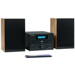 Thomson Micro Sound System Bt Radio Fm (Bluetooth, CD Player), Stereoanlage, Braun, Silber, Schwarz
