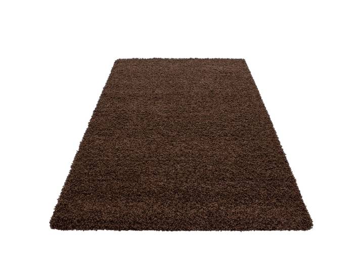 Tapis intérieur à poils longs marron-120x170