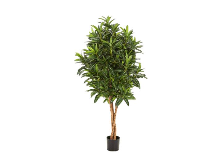 Lebensechte Kunstpflanze „Croton Goldfinger“, verschiedene Grössen Grün Baq Design