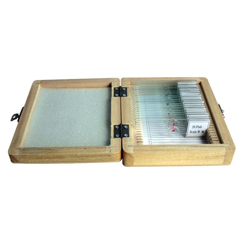 Omegon Dauerpr?parate Set 20 St?ck in Holzbox (74713510)