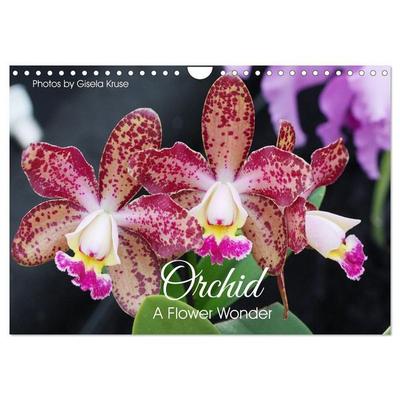 Orchid - A Flower Wonder (Wall Calendar 2027 DIN A4 landscape), CALVENDO 12 Month Wall Calendar