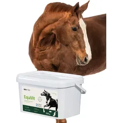 Lab-v EquiVit Diätfuttermittel für Pferde und Ponys zur Unterstützung der Immunität, des Knochen-Gelenk-Systems und des richtigen Stoffwechsels 2000 g