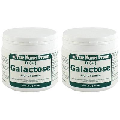 Galactose 100% rein Pulver 2x 2x250 g