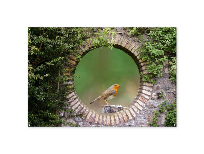 OnlyWow Gartenposter Vogel - Durchblick - Rotkehlchen Poster für draußen 180x120 cm, Grün, Kunststoff, Rechteckig, 180x120x0.2 cm, Bilder & Rahmen, Bilder, Sonstige Wandbilder