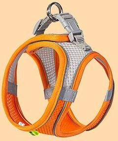 Uplift Essentials Breathable Air Mesh Reflective Harness & Leash Set orange s