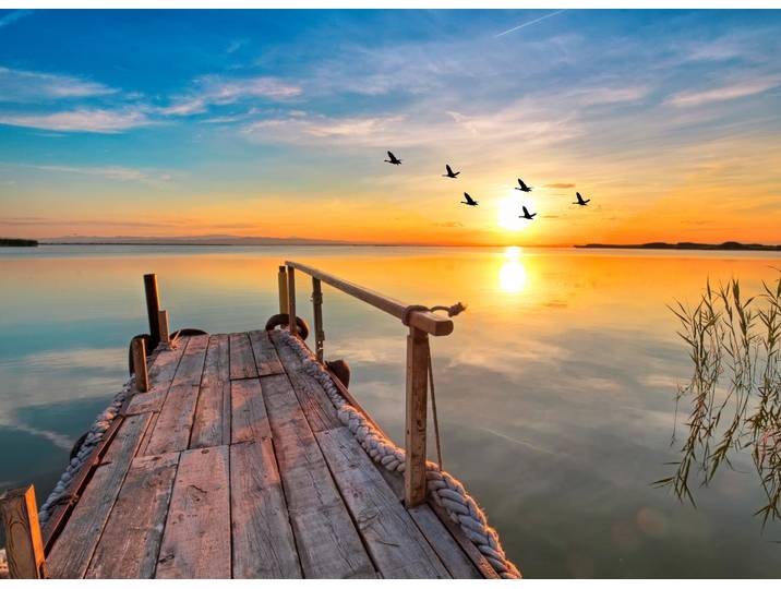 Fototapete PAPERMOON Sunset Pier , bunt, B:2,5m L:1,86m, Vlies, Tapeten, Fototapete
