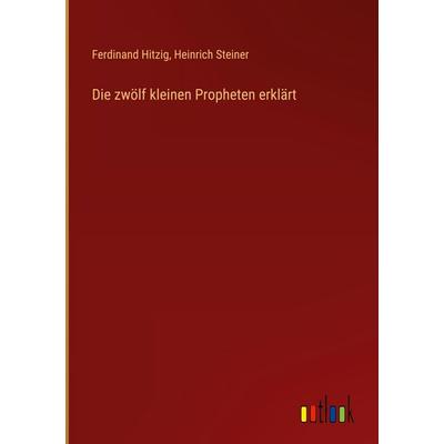Die zwölf kleinen Propheten erklärt, Gebundene Ausgabe von Ferdinand Hitzig,Heinrich Steiner, Outlook, 978-3-368-66104-5