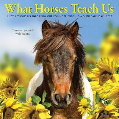 What Horses Teach Us 2027 7 X 7 Mini Wall Calendar