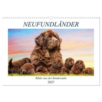 Neufundländer - Bilder aus der Kinderstube (Wandkalender 2027 DIN A3 quer), CALVENDO Monatskalender