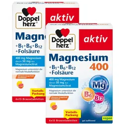 Doppelherz Magnesium 400+b1+b6+b12+folsä 12X15 St