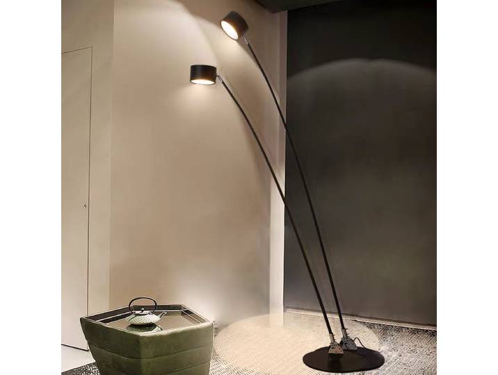Lampadaire Long Poteau pour Salon, Spot Haut, Décoration Intérieure, Canapé, Coin, Chambre, oral et, Art Décor, Pêche