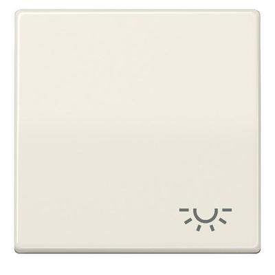 Jung Wippe Symbol LICHT ws AS 591 L AS591L