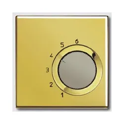 Raumtemperaturregler "Wechsler" 230 V ~ (goldfarben)