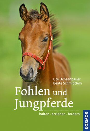 Ute Ochsenbauer - Fohlen und Jungpferde: halten, erziehen, fördern - Preis vom 01.10.2026 17:08:56 h