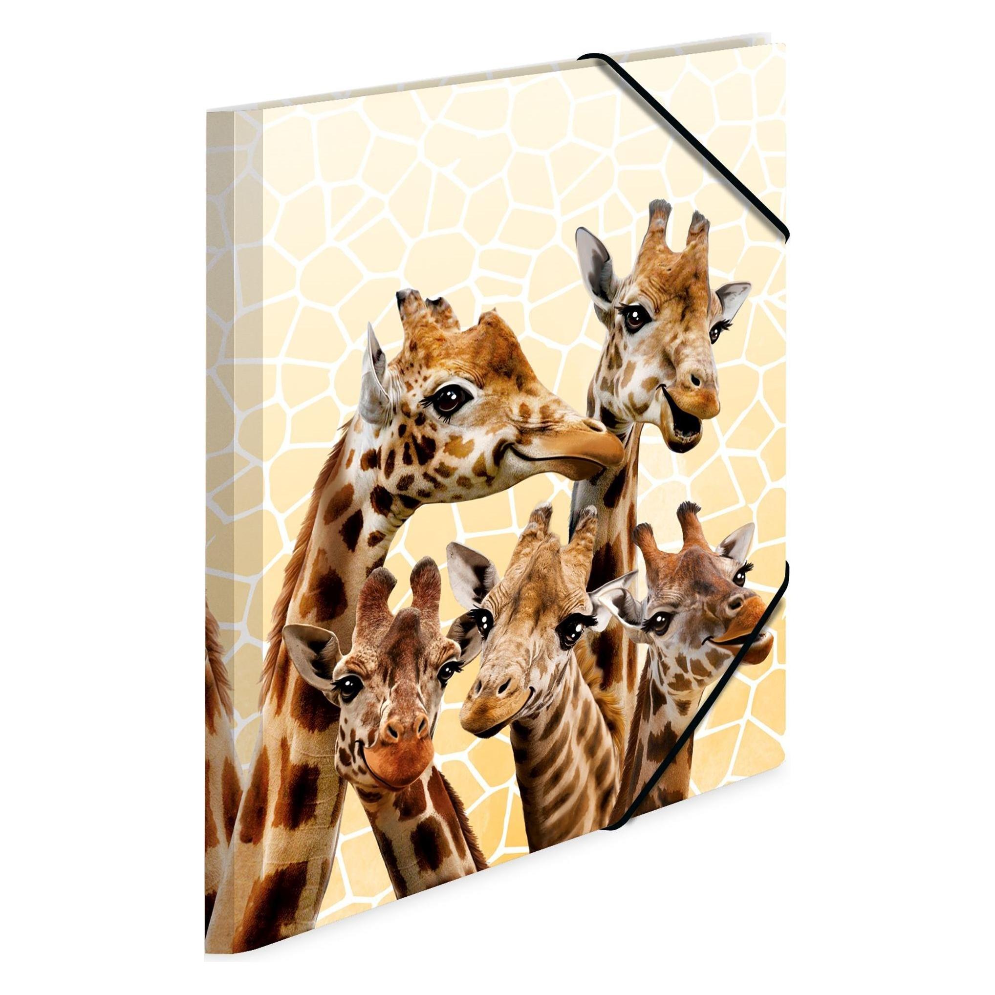 Herma 3 Sammelmappen DIN A4 Giraffen (A4) (19957)