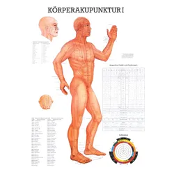 anat. Lehrtafel: Körperakupunktur I 70 x 100 cm, Papier